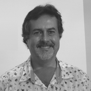 Britaldo Soares Filho