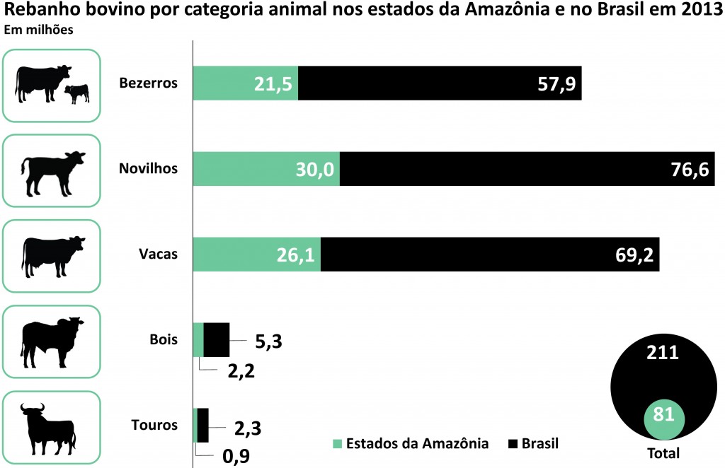 contexto_13